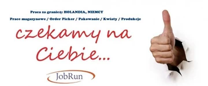 Porównanie zarobków rynek kwiatowy Holandia