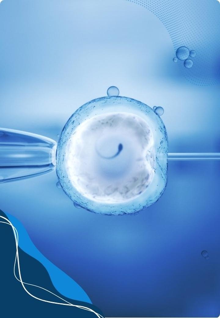 Wynagrodzenie za oddanie komórek jajowych