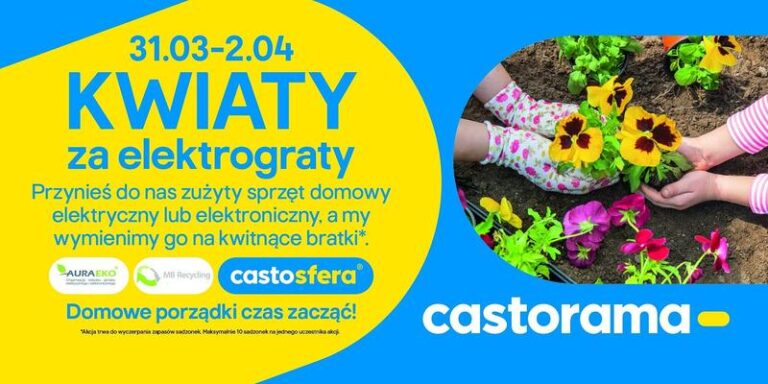 Ile naprawdę można zarobić w Castoramie? Oto zaskakujące wyniki i fakty!