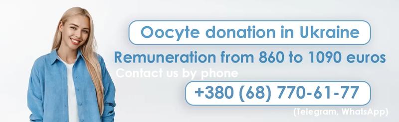 Jakie są realne zarobki za oddanie komórki jajowej? Odkrywamy prawdę o wynagrodzeniu