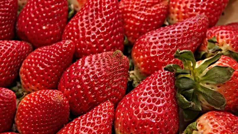 Dochody polskich rolników z truskawek