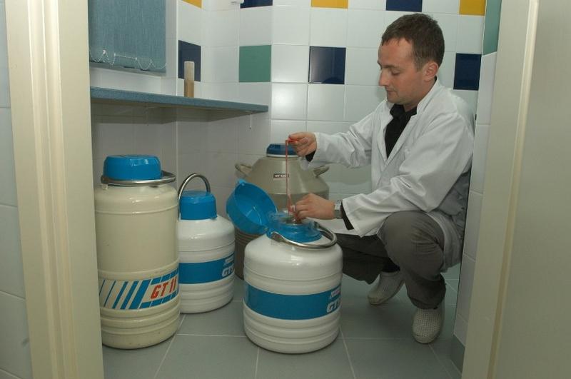 Zarobki z oddawania nasienia do banku spermy w Polsce – co warto wiedzieć?