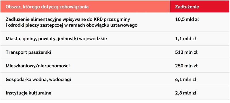 Weryfikacja wpisów w Krajowym Rejestrze Dłużników