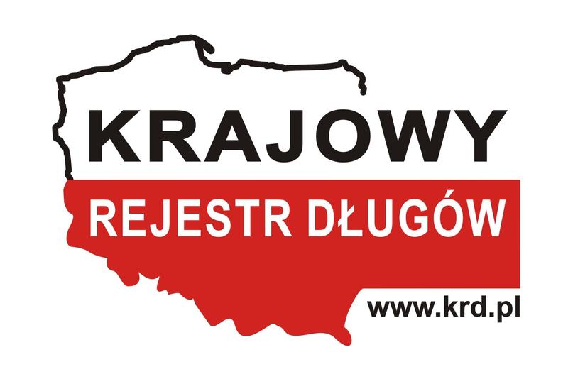 Jak łatwo i skutecznie zweryfikować wpis w krajowym rejestrze dłużników?