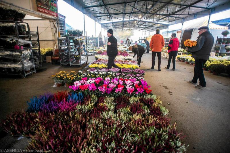 Giełda Kwiatowa Częstochowa