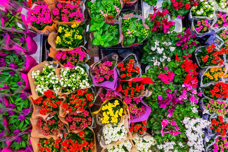 Godziny otwarcia giełdy