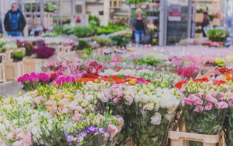 Miłośnicy ogrodnictwa