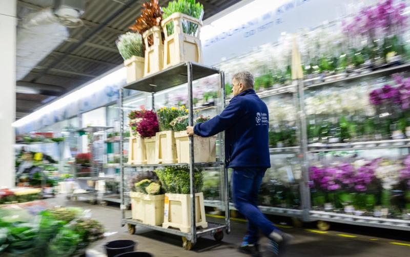 Zakupy kwiatów Częstochowa