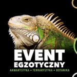 Dlaczego warto, aby firma wchodziła na giełdę? Kluczowe korzyści i ryzyka, które warto znać