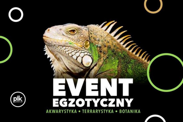 Dlaczego warto, aby firma wchodziła na giełdę? Kluczowe korzyści i ryzyka, które warto znać