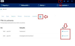 Finbo i BIK: jak twoja historia kredytowa wpływa na pożyczkę?