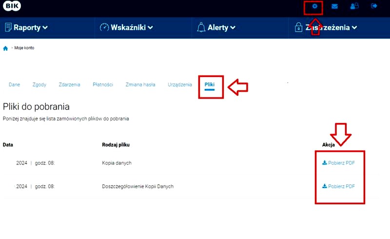Finbo i BIK: jak twoja historia kredytowa wpływa na pożyczkę?