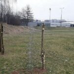 Jak uniknąć finansowych pułapek przy zakupie działki: sprawdź, czy nie jest zadłużona
