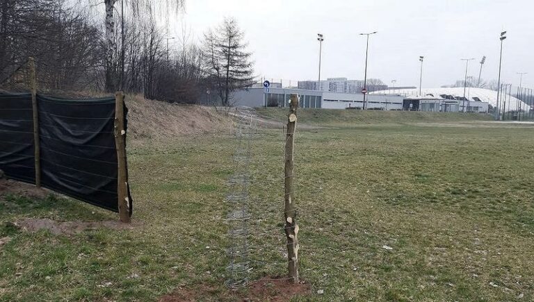 Jak uniknąć finansowych pułapek przy zakupie działki: sprawdź, czy nie jest zadłużona