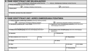 Kto rozlicza pit-11 i jak wygląda odpowiedzialność za formularz