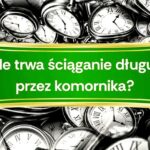 Jak sprawdzić zadłużenie komornicze i uniknąć nieprzyjemności? Praktyczne kroki uzyskania informacji