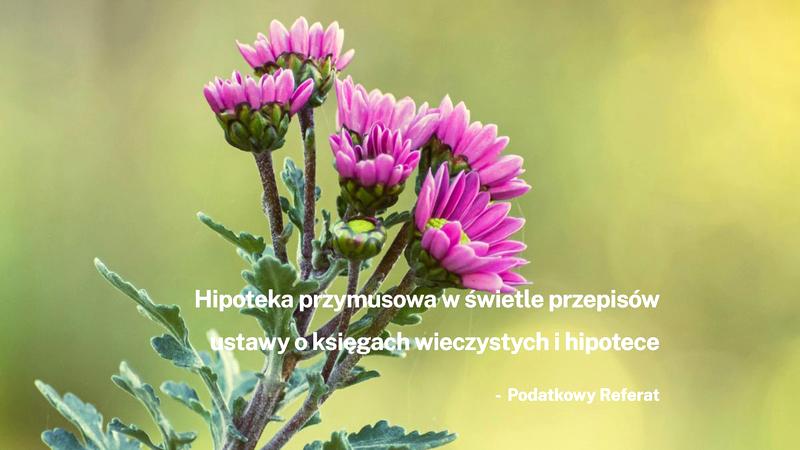 Procedura ustanowienia hipoteki