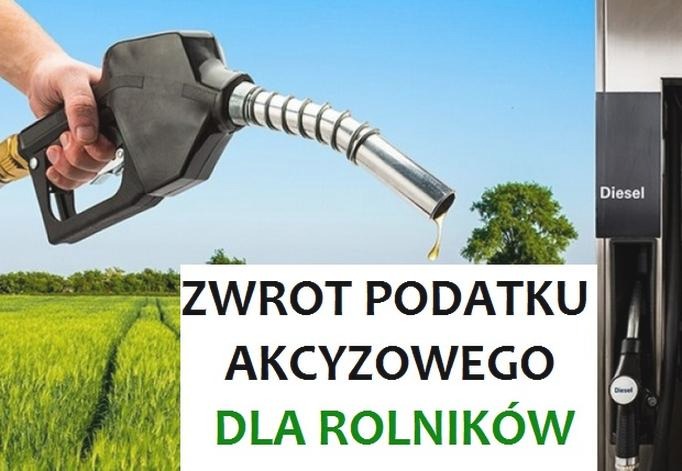 Czy firma windykacyjna może zająć zwrot podatku? Prawa dłużnika i wyjątki