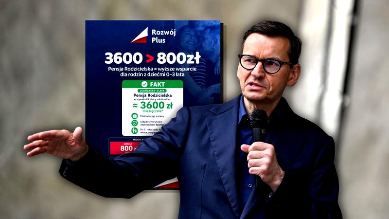 800 plus wnioski