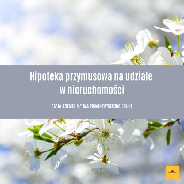 Hipoteka przymusowa
